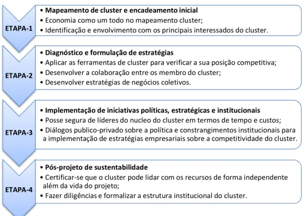 Figura 12: Uma abordagem de iniciativa e estratégia de desenvolvimento de um cluster. 