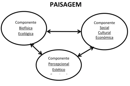 Fig. 3- Componentes da apreciação e compreensão da paisagem (Adaptado de Saraiva, 1999).,