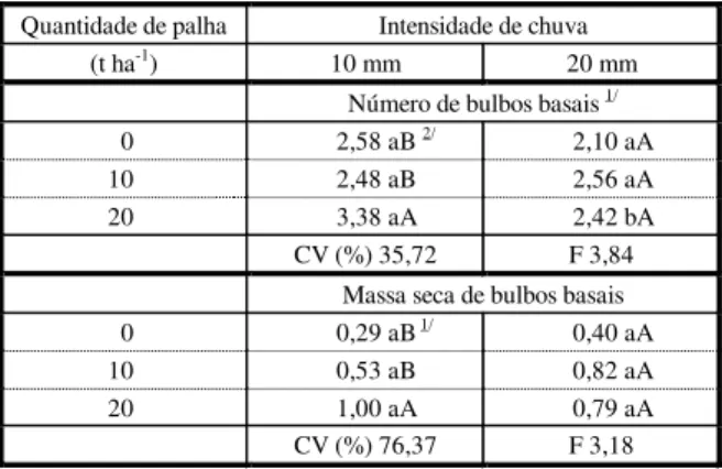 Tabela 3  - Efeito da interação entre a quantidade de palha de  cana-de-açúcar adicionada ao solo e a intensidade de  chuva no número e na massa seca de bulbos basais, aos  60 DAP