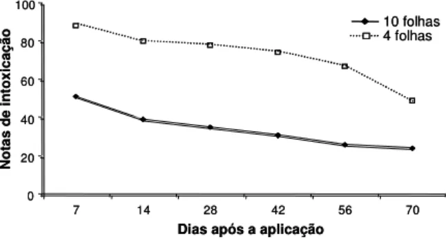 Figura 2 - Notas de intoxicação de algodoeiro tratado com 360 g ha -1  de glyphosate, nos estádios de quatro e dez folhas, aos 7, 14, 28, 42, 56 e 70 dias após a aplicação (média dos cultivares ITA-90 e BRS-Facual).
