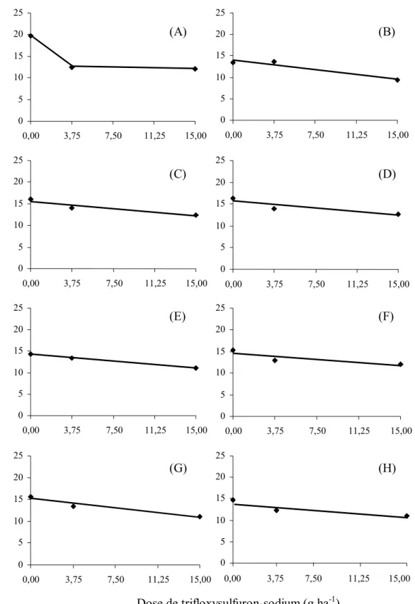 Figura 1 - Estimativa das alturas de plantas de feijão aos 45 dias após a emergência, depois da semeadura de diversas espécies vegetais [controle –  sem cultivo (A), Crotalaria juncea (B), Crotalaria spectabilis (C), Cajanus cajan (D), Penisetum glaucum (E