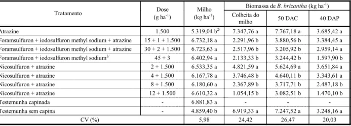 Tabela 4 - Produção de grãos de milho e de biomassa de Brachiaria brizantha observada na colheita do milho, 50 dias após a  colheita (DAC) e 40 dias após o período de pastejo (DAP), nos tratamentos de controle de plantas daninhas do milho  cultivado em con