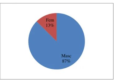 Figura 14. Representação gráfica do Sexo dos Inquiridos 