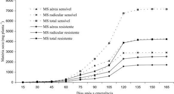 Figura 4 - Curvas de acúmulo de matéria seca total (MS total), parte aérea (MS aérea) e radicular (MS radicular) de um biótipo de azevém sensível e de um resistente ao glyphosate