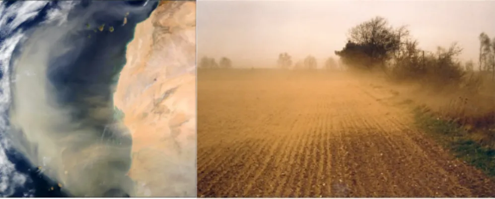 Figura 06 – Imagem de Satélite NASA de uma tempestade de pó transportando partículas na costa Oeste  de África (lado esquerdo) I ; Erosão do solo pelo vento (Foto de BGR) (lado direito) II   