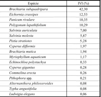 Figura 6 - Infestação com plantas flutuantes (Pistia stratiotes, Eichornia crassipes e Salvinia auriculata).