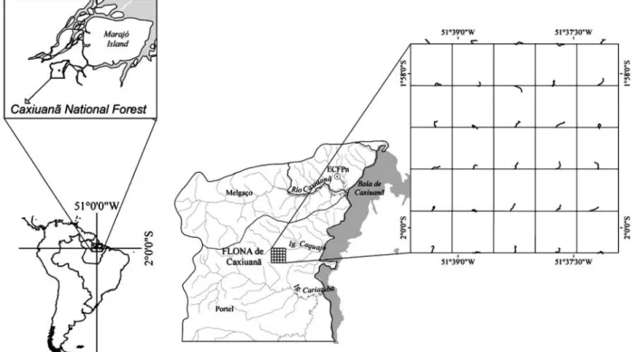 Figure 1 – Study area with location of PPBIO/Eastern Amazonia site, the trail grid at the center of the Caxiuanã National Forest.