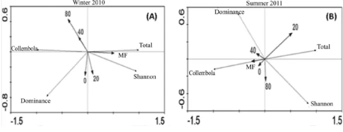Figure 2 - Graphical representation of the canonical correlation analysis (CCA) between the Shannon diversity index (Diversity), Simpson’s dominance index (Dominance), total organism density (Total), and the population of springtails (Collembola), and the 