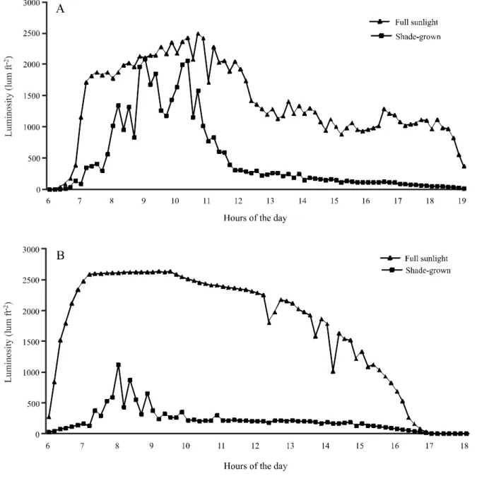 Figure 1 - Variation of daily luminosity values in the coffee crop grown at full sun and shaded by rubber trees in the summer (A) and in the winter (B) of 2012