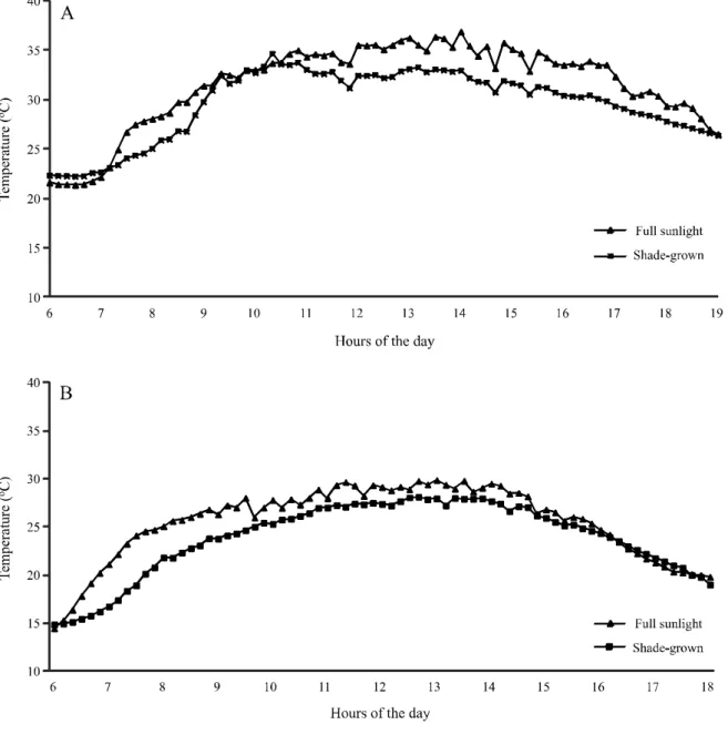 Figure 2 - Variation in daily temperature values in the coffee crop grown at full sun and shaded by rubber trees in the summer (A) and in the winter (B) of 2012
