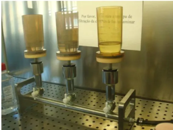 Figura  13-  Copos  esterilizados  durante  a  filtração  das  amostras  de  água  na  câmara  de fluxo laminar 