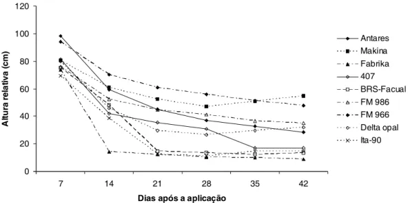 Figura 4 - Altura relativa de nove cultivares de algodoeiro (% em relação à testemunha) tratados com 540 g ha -1  de glyphosate.