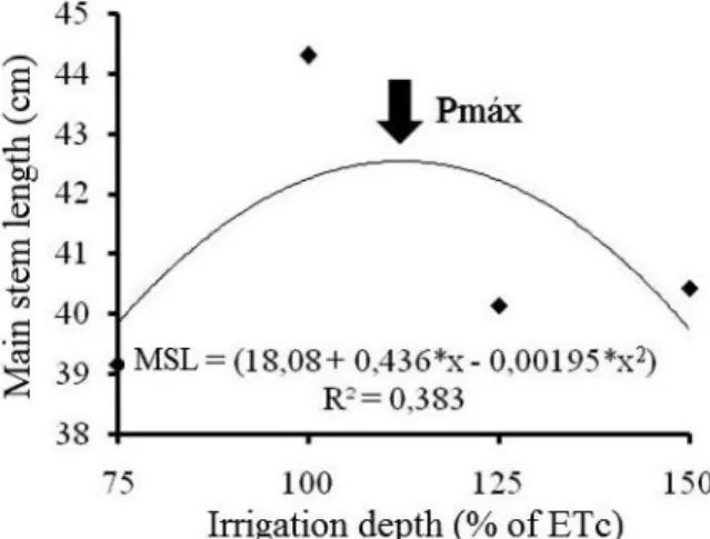 Figure  2 - Main stem length (MSL) in cowpea plants for the application of different irrigation depths