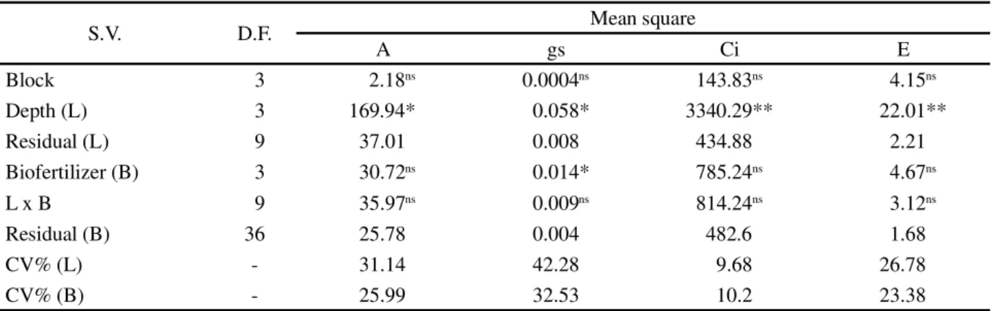 Table 4 - Summary of the analysis of variance for gas exchange in cowpea plants irrigated with different depths of saline water and doses of biofertilizer, at 75 days after sowing