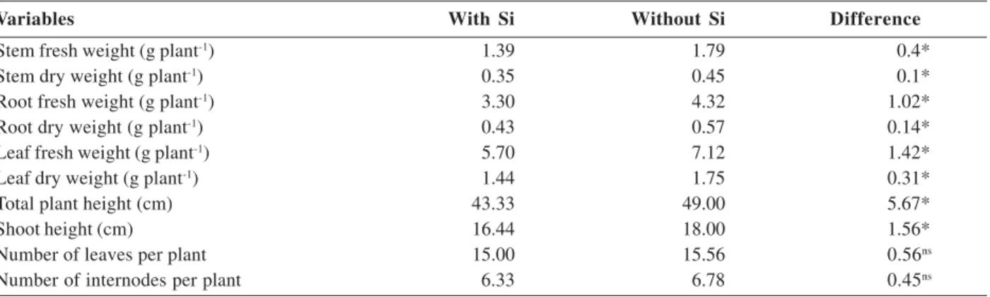 Table 3. Fresh and dry matter weight of stem, root and leaves, total plant height, shoot height, number of leaves and internodes of coffee plants grown in nutrient solution with and without silicon, at the end of 33 days