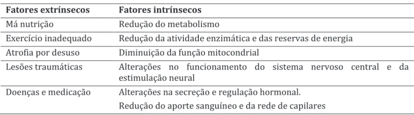 Tabela 5 - Fatores do envelhecimento muscular (adaptado de Neto, 2013)  Fatores extrínsecos  Fatores intrínsecos 