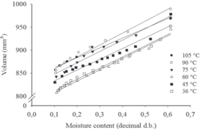 Figure 4. Roundness of the jatropha beans subjected to six drying temperatures.