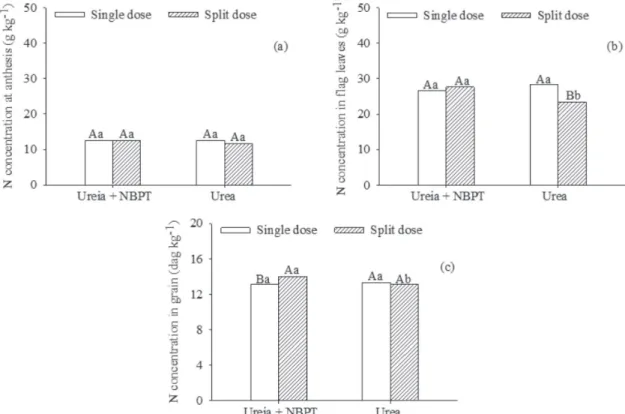 Figure 2. N concentration in tissues of wheat plants ‘Pioneiro’ at anthesis (whole plant) (a), flag leaf of plants at anthesis (b) and in gain (c) subjected to urea or urea + NBPT applied in a single dose or split