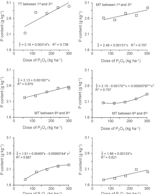 Figure 2: P fertilization effect on phosphorus content determined in samples of Jatropha leaves collected at 29 months after transplantation, at two positions of floral branches in the plant (TT = top third and MT = middle third ) and three positions on fl