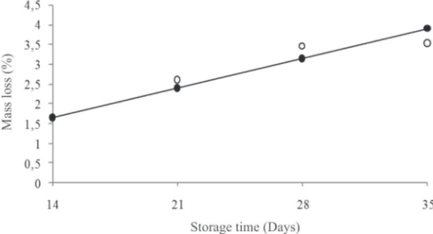 Figure 4: Pulp firmness (N) of cantaloupe hybrid ‘Torreon’, as a function of storage time