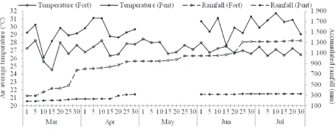 Figure 1: Weather data of air average temperature ( ___ ) and accumulated rainfall (----) at Pici Campus ( ), in Fortaleza and at Vale do Curu Experimental Farm ( ), in Pentecoste.