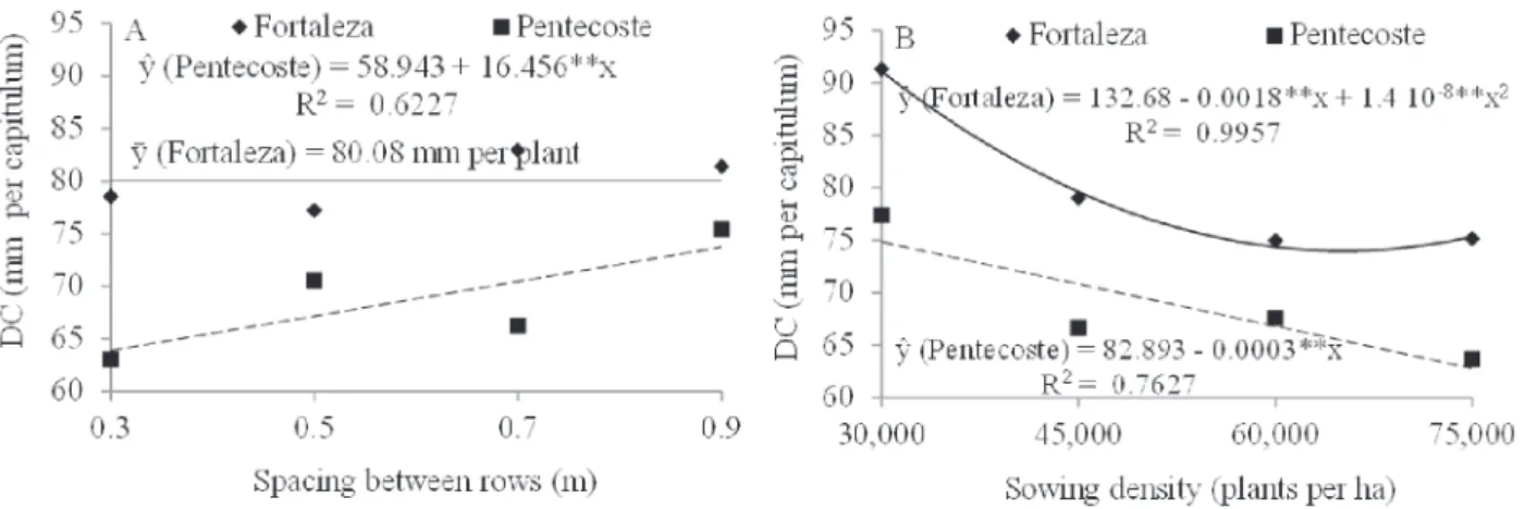 Figure 3: Diameter of achenes of sunflower variety Embrapa 122 in function of spacing between rows (A) and in function of sowing density (B) in the Experimental Area of the Plant Science Department in Fortaleza, state of Ceará ( ), and on Vale do Curu Farm