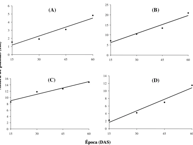 Figura 2 - Estimativas da altura de plantas de Crotalaria juncea (A), Dolichus lablab (B), Mucuna deeringiana (C) e Stylosantes guianensis (D) em função da época de avaliação [dias após a semeadura (DAS)].