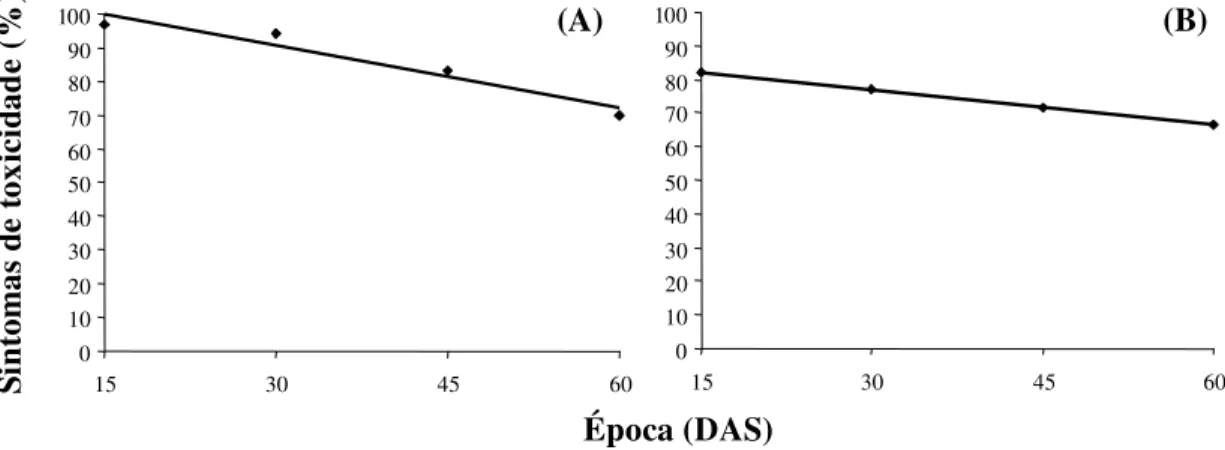 Figura 4 - Estimativas dos sintomas de toxicidade apresentados por Medicago sativa (A) e Helianthus annus (B) em função da época de avaliação [dias após a semeadura (DAS)].