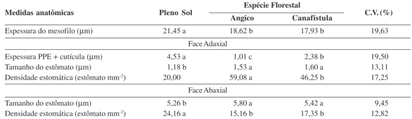 Tabela 1: Espessura de mesofilo, espessura da parede periclinal externa (PPE) + cutícula, tamanho de estômato e densidade estomática de azevém em pleno sol e no sub-bosque de espécies florestais