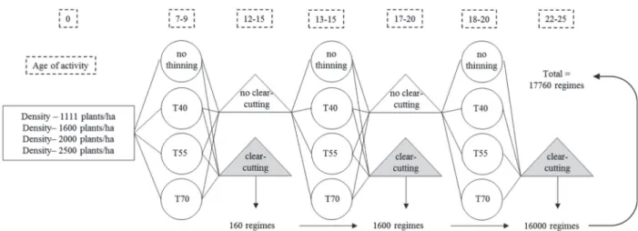 Figure 1: Organizational chart of the simulation of management regimes. T40, T55 and T70: Thinning from below with 40%, 55%