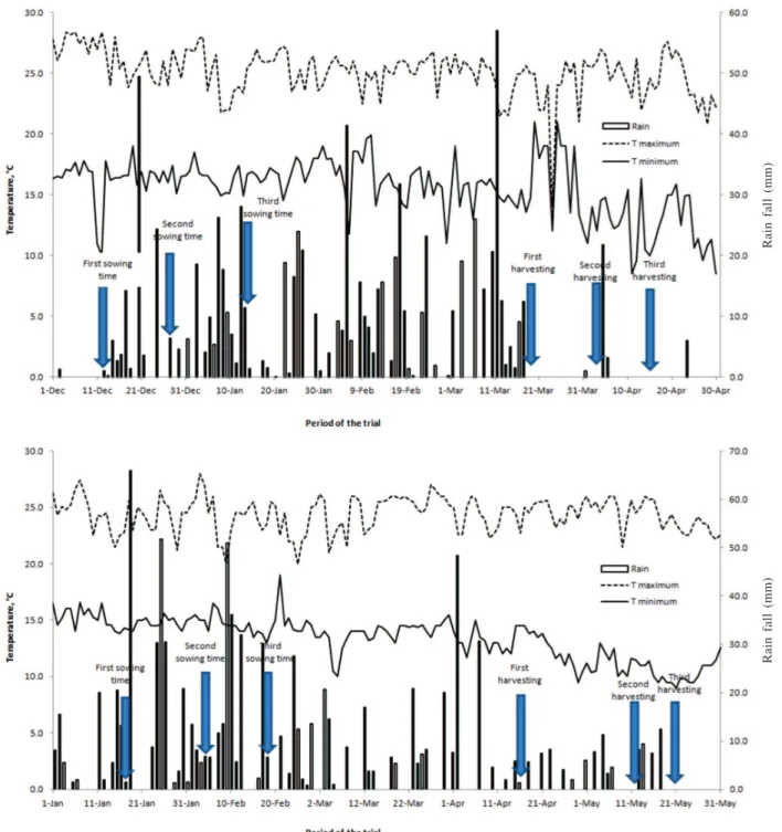 Figure 1: Rain fall and maximum and minimum temperatures of the experimental area during common bean cultivation in the growing seasons 2012/2013 and 2013/2014.