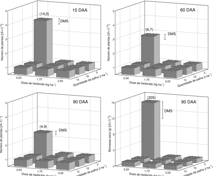 Figura 1 - Efeito da palha de cana-de-açúcar e da mistura dos herbicidas trifloxysulfuron sodium e ametrina no número de plantas e na biomassa seca de Brachiaria plantaginea em diferentes épocas após a aplicação da mistura de herbicidas