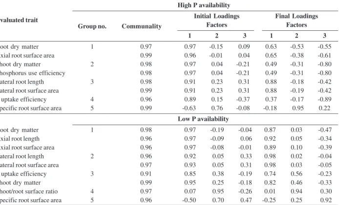 Table 5: Communality, initial and final factor loadings, estimated in 53 tropical maize genotypes evaluated in regard to phosphorus use efficiency under two contrasting conditions of phosphorus availability, in Viçosa, MG, Brazil, 2010