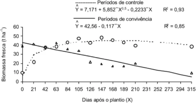 Figura 5 - Produção de biomassa fresca da parte aérea de mandioquinha-salsa, em função de períodos de controle e de convivência com as plantas daninhas