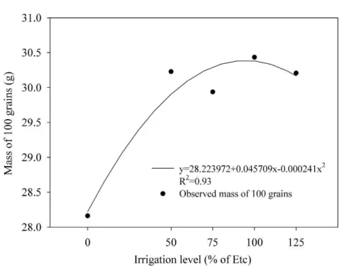 Figure 5. Mass of 100 grains (g) of maize grown at different plant densities.