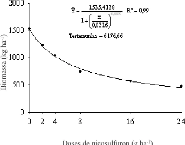 Figura 6 - Biomassa seca de B. decumbens consorciada com milho no dia da colheita deste, em função de doses de nicosulfuron