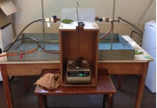 Figure 1. Device adapted to measure the retention of copper (cm 2 ) in leaves of citrus trees.
