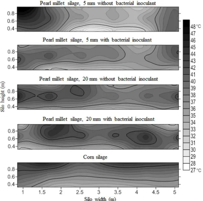 Figure 2. The thermography (° C) profile of pearl millet silage and corn before the feed - out phase of the silos.
