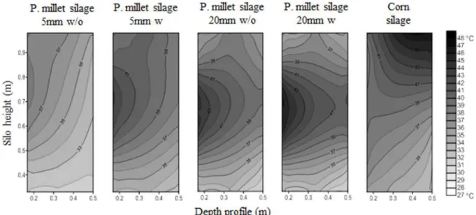 Figura 5. The thermography (°C) depth profiles of pearl millet silage and corn silage after the feed - out phase of the silos.