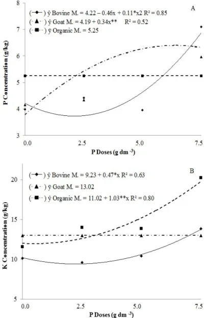 Figure 4. Effect of different doses of phosphorus and organic sources on the concentration of phosphorus in the shoot dry  mass (A) and on the concentration of potassium in the shoot dry mass (B) of tamarind tree rootstocks