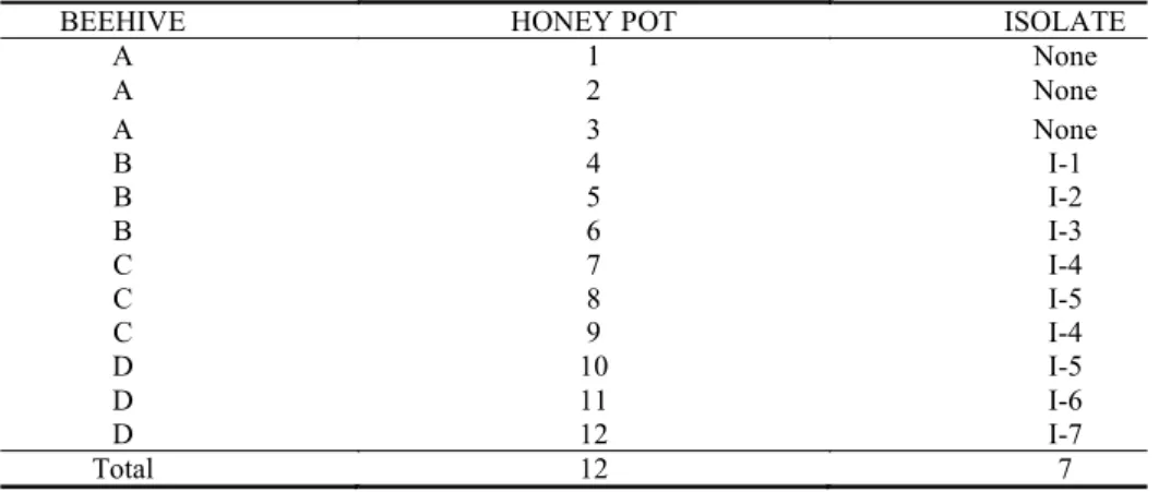 Table 1. Distribution of isolates from honey pot samples (1 to 12) from four beehives (A, B, C, and D) of Melipona sp