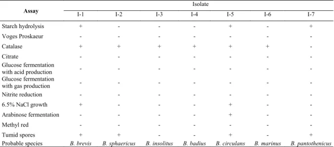 Table 2. Biochemical characterization assays of Bacillus sp. isolated from Melipona sp