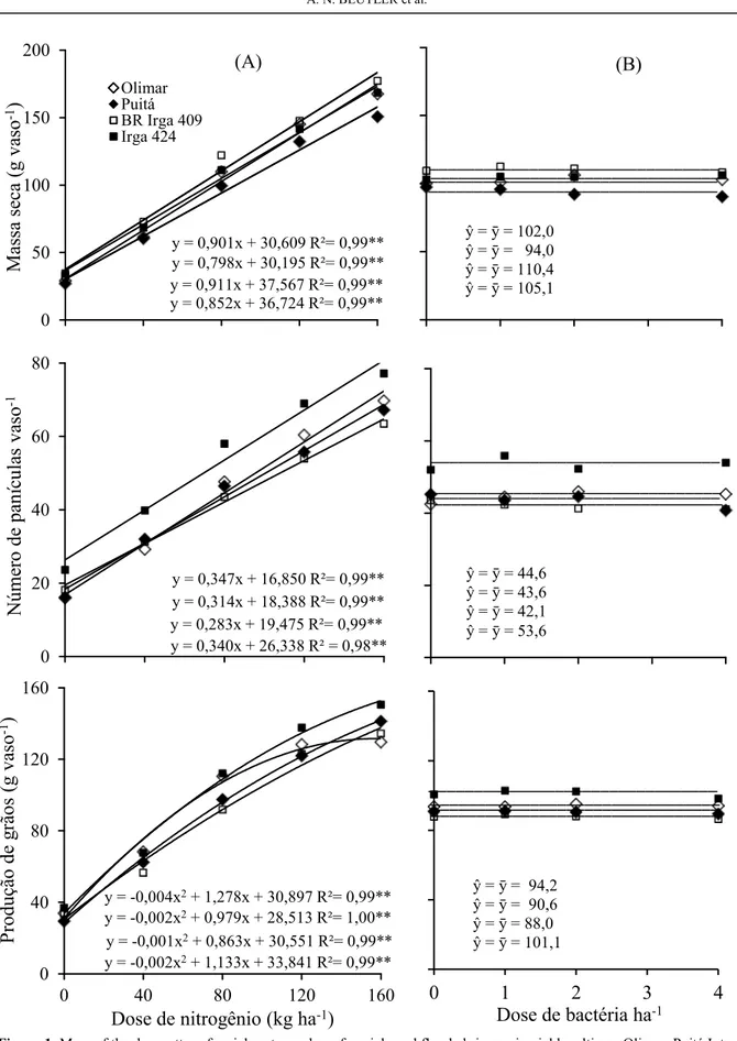 Figure 1. Mass of the dry matter of aerial part, number of panicle and flooded rice grain yield, cultivars Olimar, Puitá Inta- Inta-CL, Br Irga 409 e Irga 424, in relation the N level (A) and A