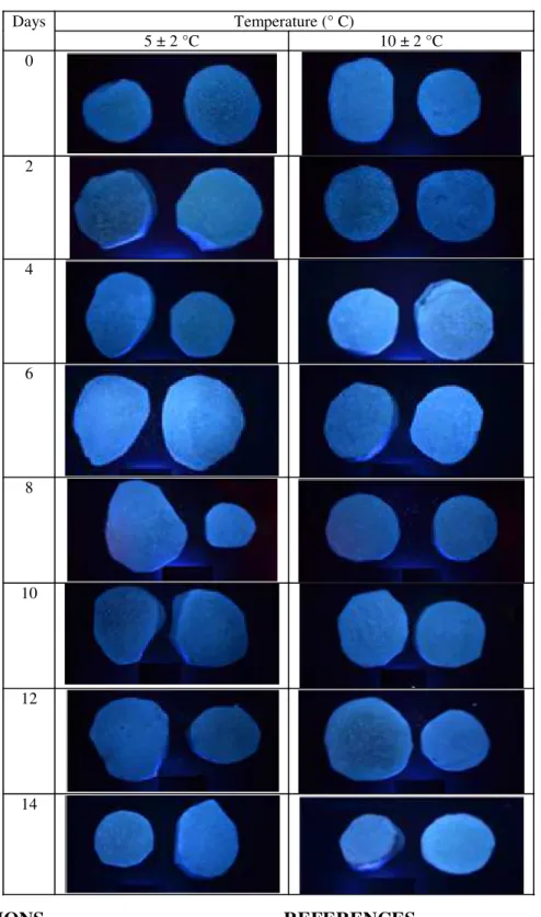Table  1. Incidence of Pseudomonas sp. in roots of yam minimally processed stored at 5  e 10 ± 2 °C for 0, 2, 4, 6, 8, 10, 12 and 14 days