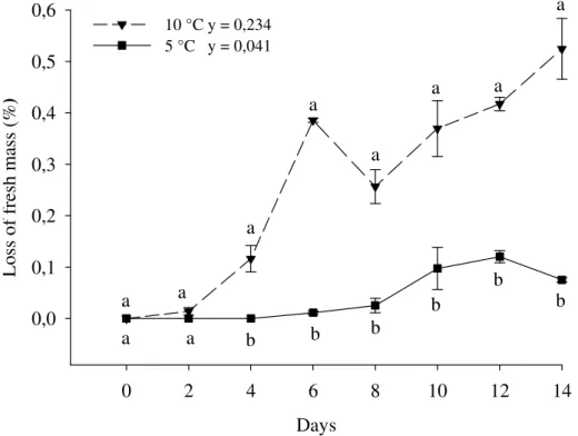 Figure  1. Loss of fresh mass in roots of yam minimally processed stored at 5 ( ) e  10 ± 2 °C ( ) for 0, 2, 4, 6, 8, 10, 12 and 14 days