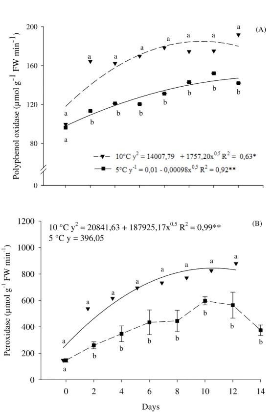 Figure  3. Polyphenol oxidase (A) and peroxidase activity (B) in roots of  yam  minimally processed  stored at 5 ( ) e 10 ± 2 °C ( ) for 0, 2, 4, 6, 8, 10, 12 and 14 days