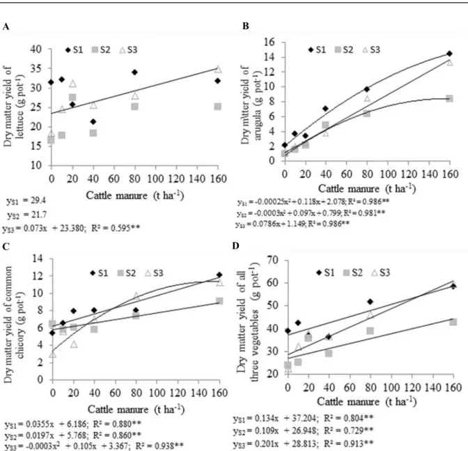 Figure 7. Effect of cattle manure fertilization on dry matter yield of lettuce (A), arugula (B), common chicory (C) and all  three vegetables (lettuce+arugula+common chicory) (D), cultivated subsequently