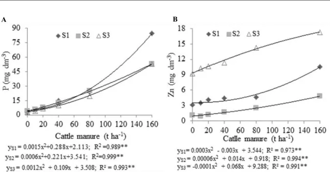 Figure 4. Effect of cattle manure fertilization on P - Mehlich (A) and Zn (B) soil contents