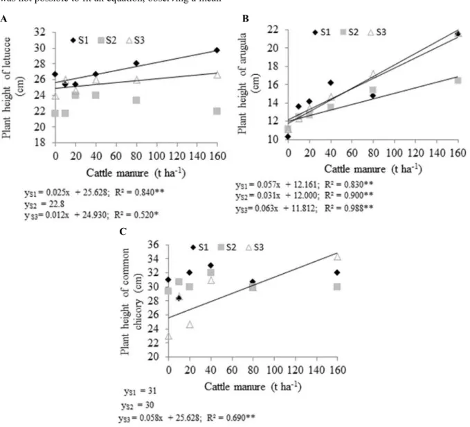 Figure  5.  Effect  of  cattle  manure  fertilization  on  plant  height  of  lettuce  (A),  arugula  (B)  and  common  chicory  (C),  cultivated subsequently