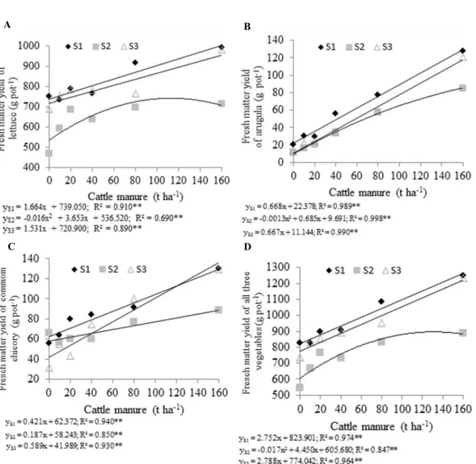 Figure 6. Effect of cattle manure fertilization on fresh matter yield of lettuce (A), arugula (B), common chicory (C) and all  three vegetables (lettuce+arugula+common chicory), cultivated subsequently